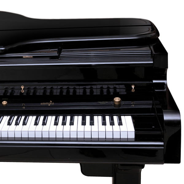 O piano digital Harmonia HS-1000 é um instrumento de alta qualidade, com 88 teclas sensíveis e com peso de piano acústico, 8 timbres variados, módulo USB com gravador, sistema de som potente com 1 woofer e 2 subwoofers e móvel em ¼ de cauda com caixa acústica para melhor resposta de graves. O móvel é desmontável em 3 partes para facilitar o transporte e possui saída auxiliar L/R e fone de ouvido. O piano está disponível nas cores preto laca e branco laca. Aproveite a oportunidade de adquirir um piano digital Harmonia HS-1000 por um preço imperdível e desfrute de uma experiência musical incrível.