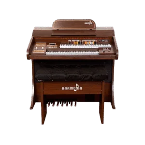 Apresentamos o órgão que vai surpreender você: órgão eletronico Harmonia HS 450! O Harmonia HS-450 é o órgão que você precisa para tocar com qualidade, versatilidade e estilo. Ele tem tudo o que você procura em um instrumento musical de alto nível. Veja só: - Teclados superior e inferior com 49 teclas cada, e pedaleira com 13 ou 20 notas, para uma ampla gama de sons e estilos - Drawbars completos no teclado superior, e 5 sons de flautas no teclado inferior, para um som rico e autêntico de órgão - 160 sons prontos em cada teclado e pedaleira, incluindo piano, harpa, cordas, metais e muito mais, para você explorar sua criatividade - 16 ritmos variados, com controle de volume, velocidade e sincronização, para você criar o clima perfeito para cada música - Efeitos incríveis, como sustain, vibrato, chorus, reverb e rotary speaker, para você adicionar dinamismo e expressividade ao seu som - Visor gráfico de 128 x 60, que mostra os sons e as funções do órgão de forma clara e intuitiva - Transposição de até 7 semitons, key click no conjunto dos drawbars e decodificador MP3 integrado, para você ter mais recursos à sua disposição - Potência de 70 watts RMS, com 2 alto-falantes de 12 polegadas e saída auxiliar para L/R e fones de ouvido, para uma qualidade sonora impecável E o melhor de tudo: você pode adquirir o órgão HS-450 por um preço imperdível! Não perca essa chance única de ter o órgão dos seus sonhos! Clique no link abaixo e faça já o seu pedido!