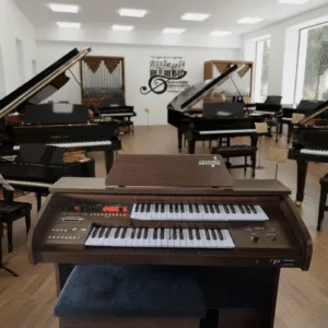 Órgão Eletronico Harmonia HS 75 — compacto e didático, perfeito para quem está começando. Conta com teclados de 44 teclas (superior e inferior), pedaleira de 13 notas, 128 sons MIDI, 32 ritmos e metrônomo para estudo. Possui USB/Bluetooth, display LCD, efeitos como sustain, vibrato, reverb e chorus, além de móvel em MDF laminado resistente.