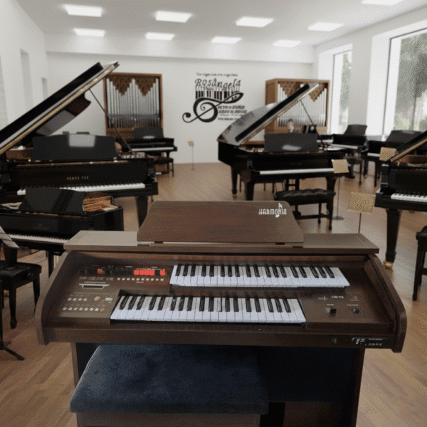 Órgão Eletronico Harmonia HS 75 1 Órgão Eletronico Harmonia HS 75 — compacto e didático, perfeito para quem está começando. Conta com teclados de 44 teclas (superior e inferior), pedaleira de 13 notas, 128 sons MIDI, 32 ritmos e metrônomo para estudo. Possui USB/Bluetooth, display LCD, efeitos como sustain, vibrato, reverb e chorus, além de móvel em MDF laminado resistente.