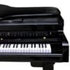 Piano Digital Harmonia HS 1000 Cauda Longa