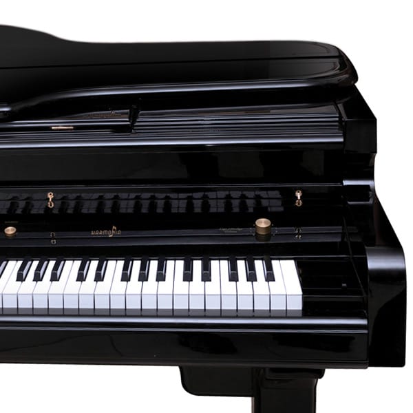 Piano Digital Harmonia HS 1000 Cauda Longa