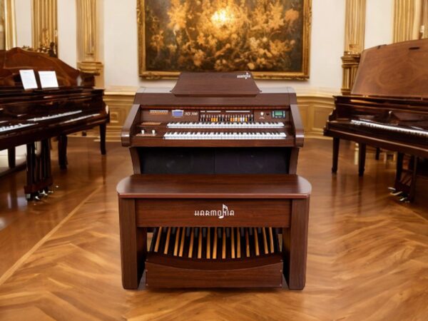 O órgão eletronico Harmonia HS 500 Orquestra é um instrumento incrível que vai te surpreender com sua qualidade sonora, sua potência e seu design elegante. Se você procura um órgão que ofereça recursos avançados, como drawbars, presets, efeitos, transposição, decodificador MP3 e gravador, o HS-500 Orquestra é a escolha certa para você. Com o HS-500 Orquestra, você pode tocar diversos estilos musicais, desde clássicos até modernos, com ritmos variados e sons prontos. Você também pode personalizar seus sons com o conjunto de drawbars, que permite ajustar os pesos das flautas do teclado superior. Além disso, você pode usar o oitavador para criar efeitos sonoros incríveis. O HS-500 Orquestra tem um móvel bipartido de MDF revestido com folha imbuia e acabamento em PU. A tampa é na cor do produto e protege os teclados e os alto-falantes. O órgão tem dois teclados de 61 teclas cada (Dó a Dó) e uma pedaleira de 25 notas. A potência é de 120 watts e a saída auxiliar permite conectar fones de ouvido ou outros equipamentos.