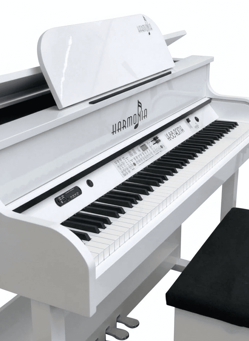 Piano Digital Harmonia HS 88 Roma