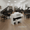 Com o Órgão Eletrônico Harmonia HS95 Branco, você poderá mergulhar em um mundo de sons ricos e vibrantes que elevarão a sua música a um novo patamar! Este órgão eletrônico combina a sonoridade clássica dos órgãos tradicionais com as mais modernas tecnologias MIDI, dando a você um instrumento versátil e poderoso que lhe permitirá criar timbres personalizados para cada música que você tocar. As barras deslizantes dos drawbars permitem que você controle a intensidade dos diferentes sons que você toca, enquanto os recursos de vibrato, reverb, sustain e chorus lhe dão a capacidade de adicionar mais expressividade e profundidade ao seu som. Com o Órgão Eletrônico Clássico HS-95, você terá acesso a até 128 sons diferentes, que poderão ser registrados no teclado superior, inferior e na pedaleira. Este incrível órgão eletrônico também vem com 32 ritmos programados, acompanhamento automático, sincronização de início de ritmo com o pedal de expressão e reprodução de músicas gravadas em MP3, dando a você uma ampla gama de opções para praticar e se divertir com diferentes ritmos. O Órgão Eletrônico Clássico HS-95 possui uma saída auxiliar L/R para conectar fones de ouvido ou caixas externas, permitindo que você compartilhe seu som com outras pessoas ou pratique em privacidade. Além disso, o display LCD facilita a visualização das configurações e a seleção dos sons. Disponível em quatro cores lindas, tabaco, tabaco verniz, preto laca ou branco laca, este órgão eletrônico é perfeito para qualquer ambiente e para qualquer pessoa que ame música e deseje possuir um instrumento de qualidade, versatilidade e potência. Não espere mais para descobrir o incrível som do Órgão Eletrônico Clássico HS-95. Adquira o seu agora mesmo no site rosangelaorgaosccb.com e comece a desfrutar da beleza e qualidade deste instrumento incrível!