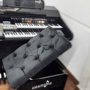 Apresentamos o órgão que vai surpreender você: o Órgão Eletrônico Harmonia HS450 Preto!