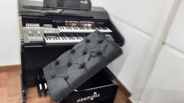 Apresentamos o órgão que vai surpreender você: o Órgão Eletrônico Harmonia HS450 Preto!