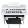 O Órgão Eletrônico Digital Acordes AC 300 Branco alto brilho é a escolha ideal para músicos exigentes que buscam qualidade sonora, versatilidade e durabilidade. Com suas avançadas características e design elegante, o AC 300 é perfeito para igrejas, apresentações ao vivo e estudos musicais.