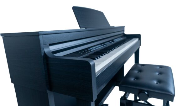 O Piano Digital Acordes DP 740K é uma escolha sofisticada para músicos que buscam um instrumento de alta qualidade com funcionalidades avançadas e um design elegante. Este piano digital oferece uma vasta gama de recursos que aprimoram tanto a prática quanto a performance, ideal para músicos de todos os níveis.