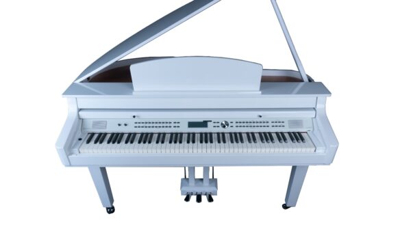 O Piano Digital Acordes Cauda Grand 5100 é um instrumento de alta performance, projetado para músicos exigentes que buscam qualidade sonora, versatilidade e funcionalidades avançadas. Ideal tanto para estudo quanto para performances profissionais, o Grand 510 combina tecnologia de ponta com a elegância de um piano de cauda.