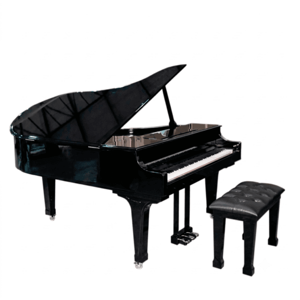 O Piano Digital Acordes AC3000 Cauda Longa é um instrumento de alta qualidade, projetado para oferecer uma experiência musical excepcional para pianistas de todos os níveis. Com uma combinação de tecnologia avançada e design elegante, este piano digital é ideal para performances ao vivo, gravações de estúdio, e prática em casa.