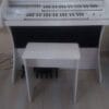 Órgão Eletrônico Organista branco