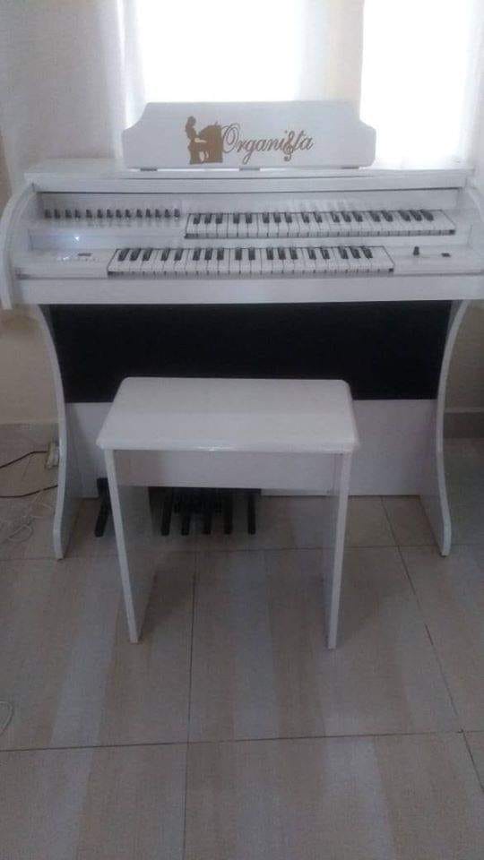 Órgão Eletrônico Organista branco