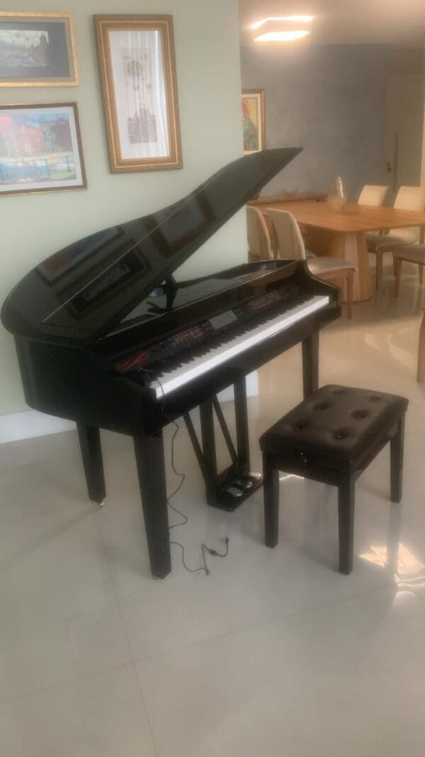 O Piano Digital Acordes AC 3000 Caudinha é a escolha ideal para quem deseja unir a sofisticação de um piano de cauda com a praticidade da tecnologia digital. Com 88 teclas de ação de martelo, polifonia de 128 notas e uma impressionante biblioteca de 600 vozes, este modelo oferece realismo acústico, potência sonora e recursos avançados para estudo, palco e gravação. Seu design compacto com cauda curta garante elegância e presença em qualquer ambiente, seja em igrejas, auditórios, estúdios ou residências.
