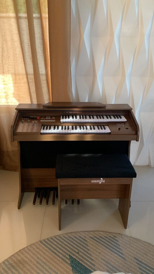 Órgão Eletronico Harmonia HS-45 Castanho
