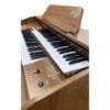 Órgão Eletronico Harmonia HS-45 Castanho: O Instrumento dos Sonhos para Organistas Oficializadas Experientes
