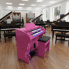 Descubra o Órgão Eletronico Rohnes RS 80 Rosa, projetado para elevar performances em igrejas, eventos e estudos musicais em seu lar