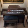 O Órgão Eletrônico Harmonia HS-75 Marrom é um órgão musical compacto, mas que possui todos os recursos necessários que uma organista precisa para expressar sua arte.