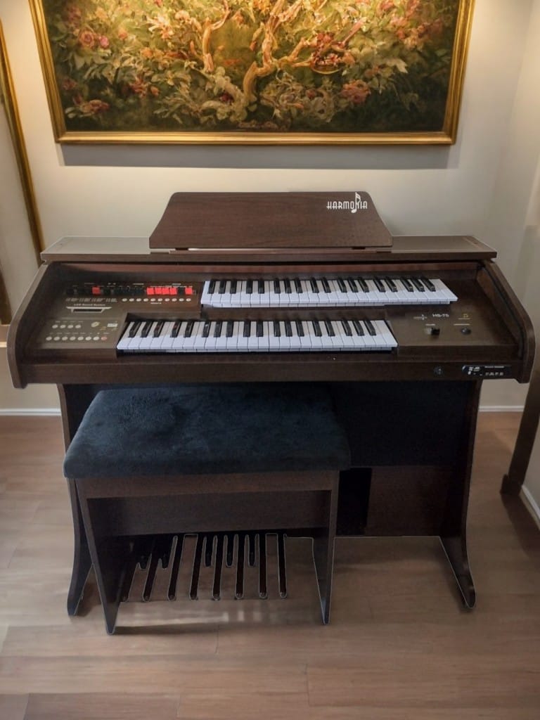 Início 29 O Órgão Eletrônico Harmonia HS-75 Marrom é um órgão musical compacto, mas que possui todos os recursos necessários que uma organista precisa para expressar sua arte.