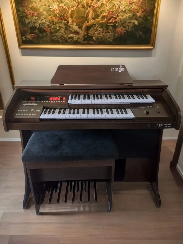 O Órgão Eletrônico Harmonia HS-75 Marrom é um órgão musical compacto, mas que possui todos os recursos necessários que uma organista precisa para expressar sua arte.