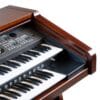 Eleve suas performances a um patamar profissional com o Órgão Eletrônico Digital Acordes EO3000 Acetinado