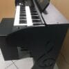 Órgão Eletrônico Organista preto fosco
