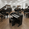 Órgão Eletrônico Organista Preto Brilho – com teclados de 44 notas (superior e inferior), pedaleira de 13 notas, drawbars dedicados (Flauta 16, 8, 4, 2 e Strings), 16 ritmos versáteis e efeitos premium (vibrato, reverb, chorus, sustain e balanço Upper-Lower). Potência de 150W PMPO, falante de 12” + tweeter de 2,5”, bi-volt automático, móvel em MDF com acabamento em PVC e várias cores disponíveis.