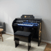 Órgão Organista Diamante Preto