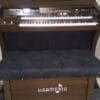 Harmonia HS-500 Luxo Marrom: Órgão Eletrônico 61 Teclas 3 Órgão Eletrônico Harmonia HS-500 Luxo Marrom – 61 teclas no manual superior e 61 no inferior, pedaleira de 20 notas, drawbars completos, 160 sons prontos, Rotary Speaker, 4 memórias e Módulo USB/Bluetooth. Amplificação 120W RMS estéreo, conjunto de falantes de 10" e 8" + tweeters, gabinete 50mm e banqueta almofadada inclusa.